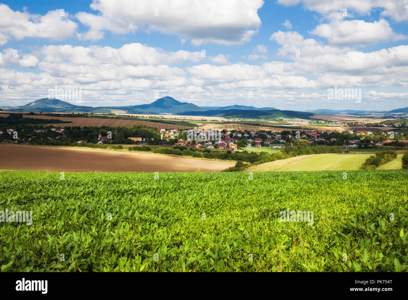 green field and blue sky with light clouds Stock Photo - Alamy