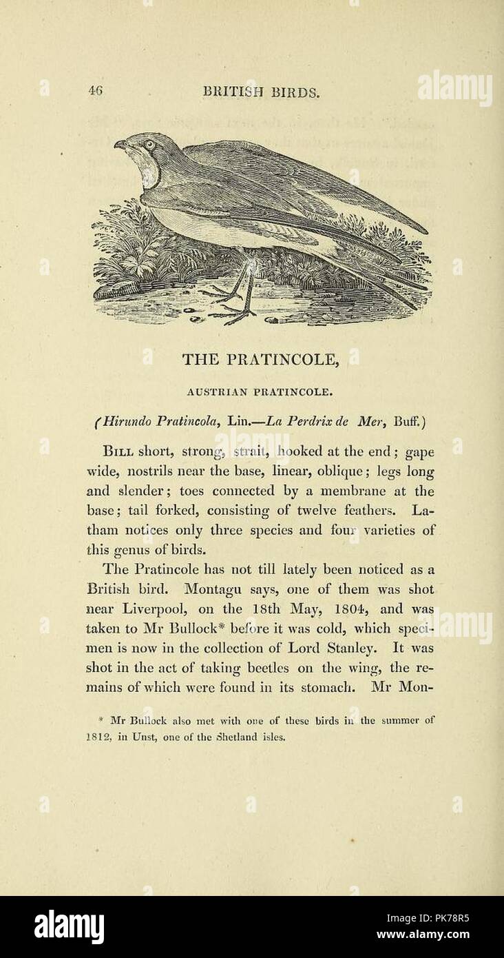Bewick History of British Birds Land Birds Supplement 1821 page 46 ...