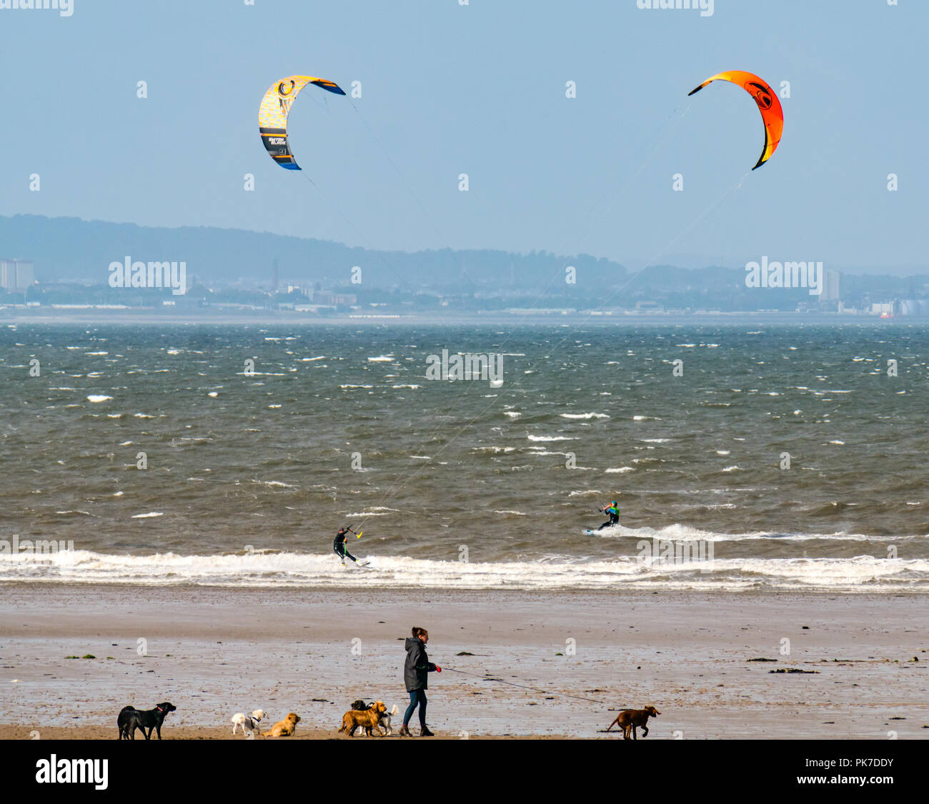 Dog kites hires stock photography and images Alamy