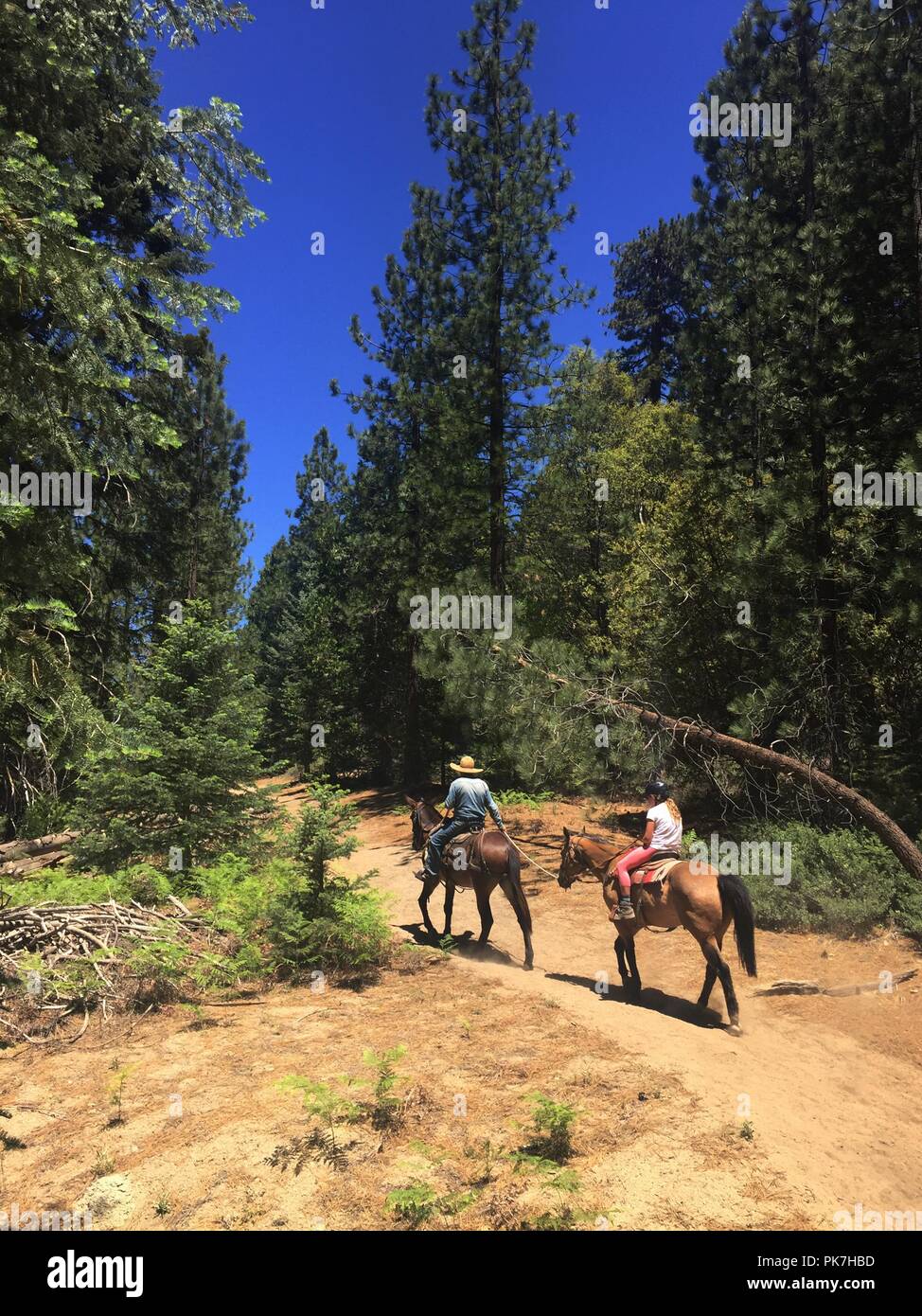 Idyllwild, California, USA. 17th June, 2018. A cowboy horse handler ...