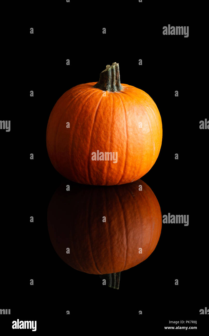 Pumpkin on a black background with reflection Stock Photo - Alamy