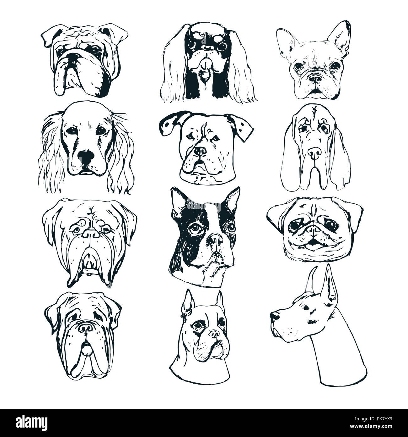 Vector dog set. Sketches of purebred dogs. Vector elements for dog club logos. T-shirt prints for dog lovers. Stock Photo