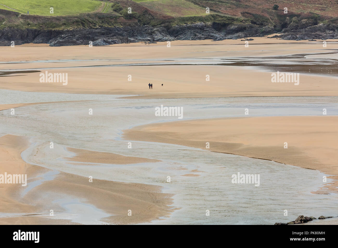 Couple walking dog, Crantock beach, Cornwall Stock Photo