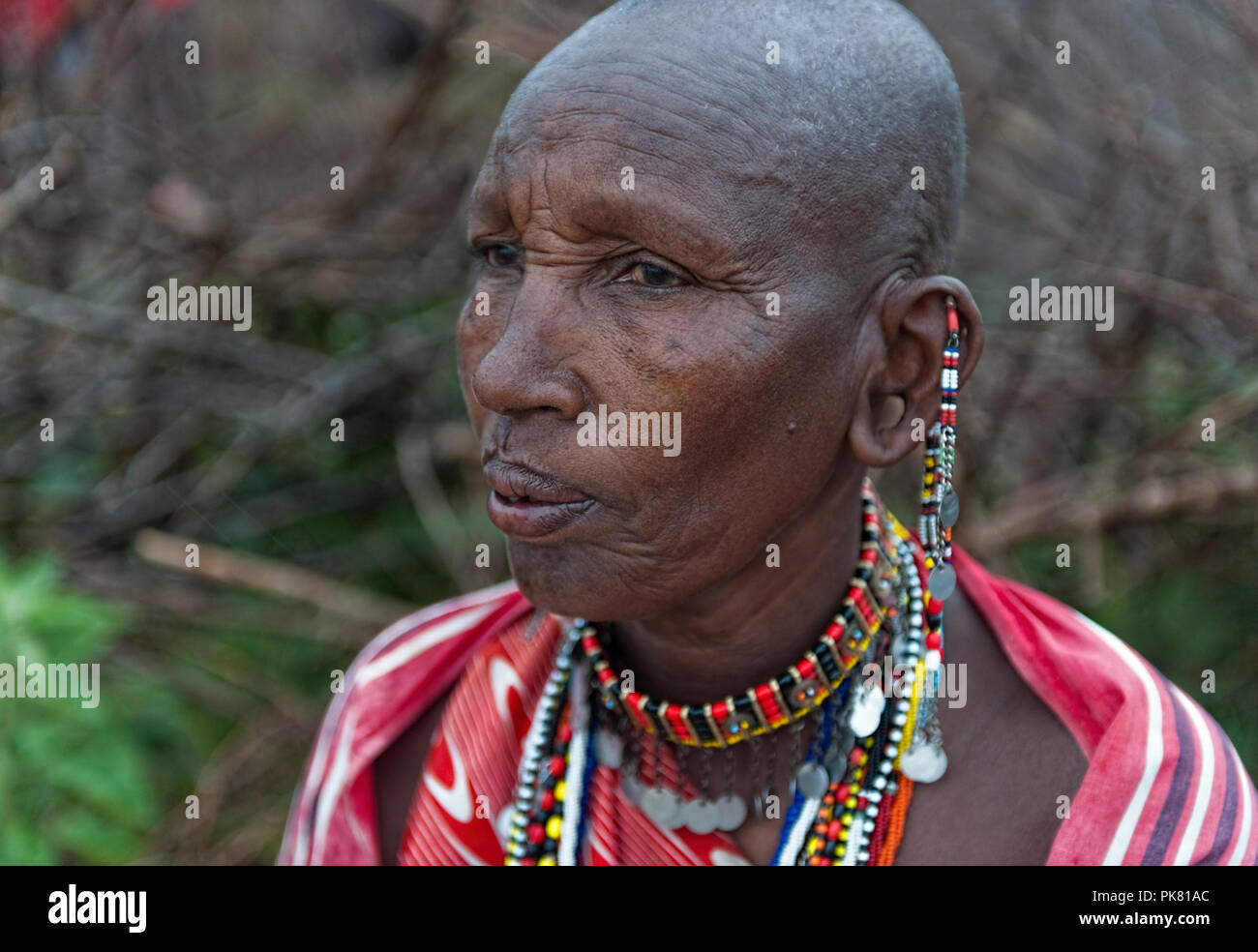 Young traditional masai lady hi-res stock photography and images - Alamy