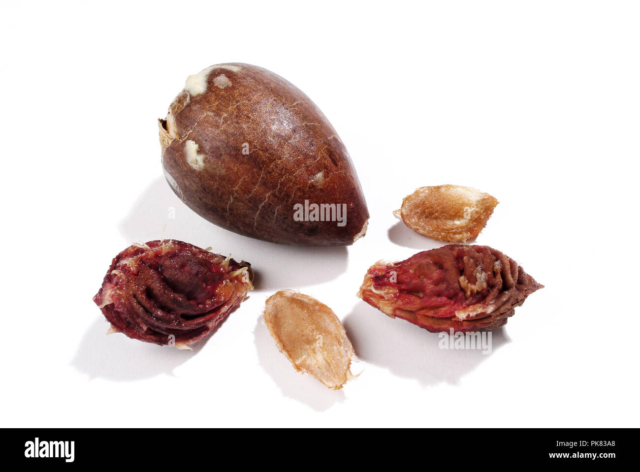 Five different fruit cores on white background. Stock Photo