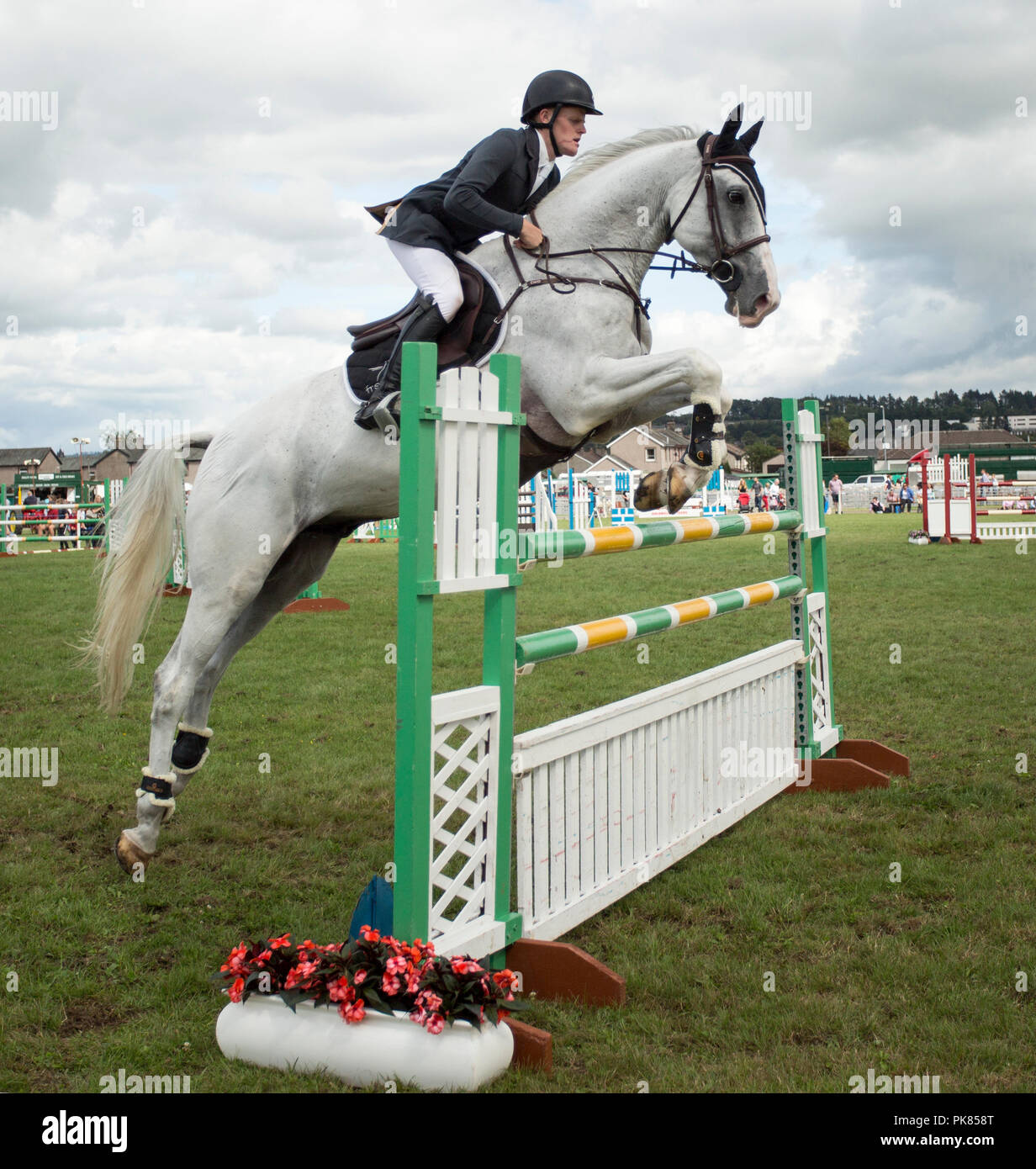 Horse jumping over fence hires stock photography and images Alamy