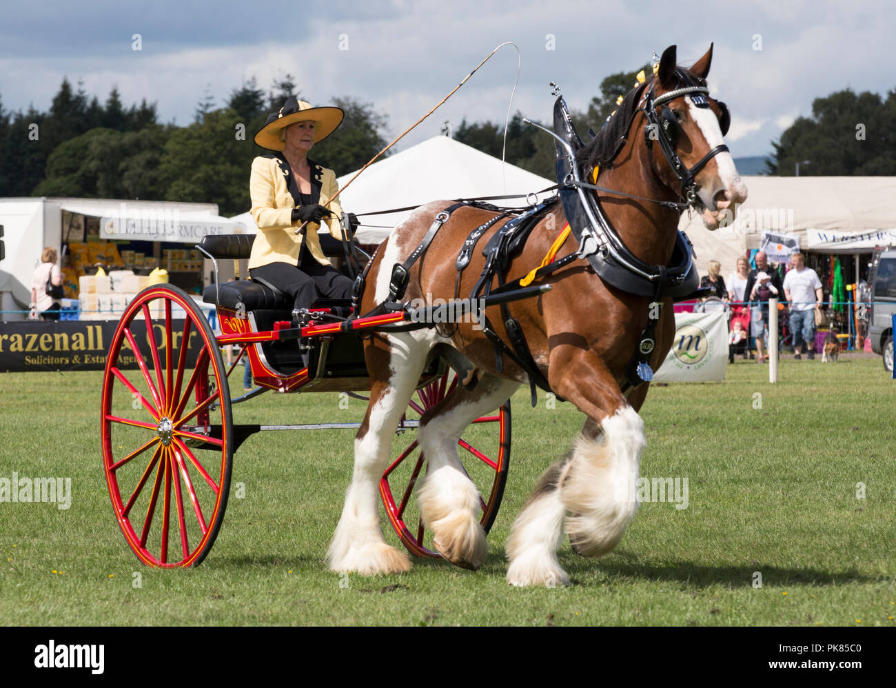 Clydesdale horse hires stock photography and images Alamy