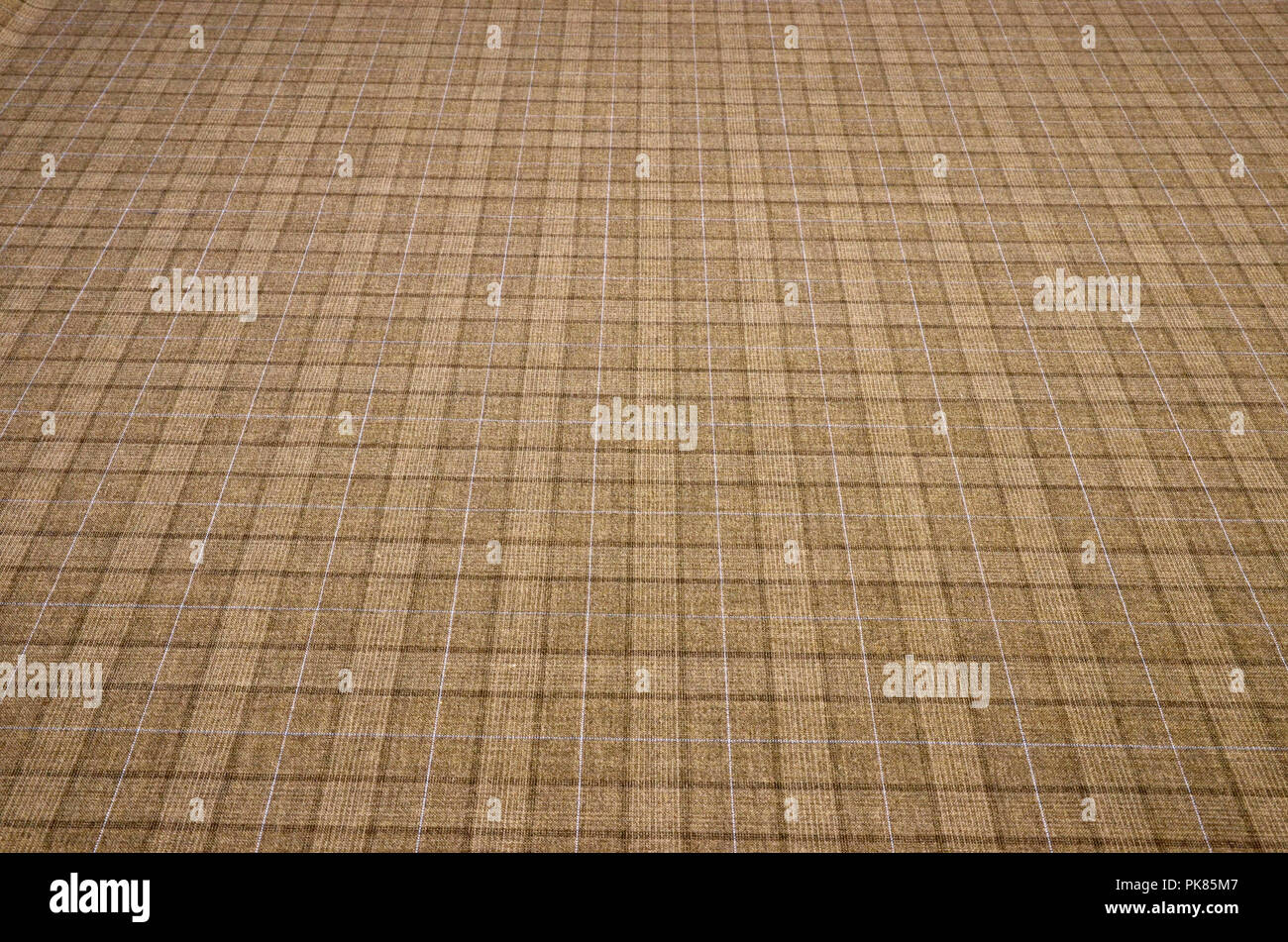 Woolen fabric, costume, brown-blue cage Stock Photo