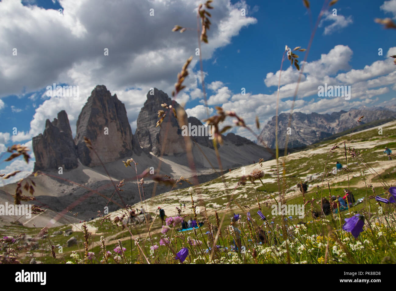Mountains, meadow and blue sky Stock Photo