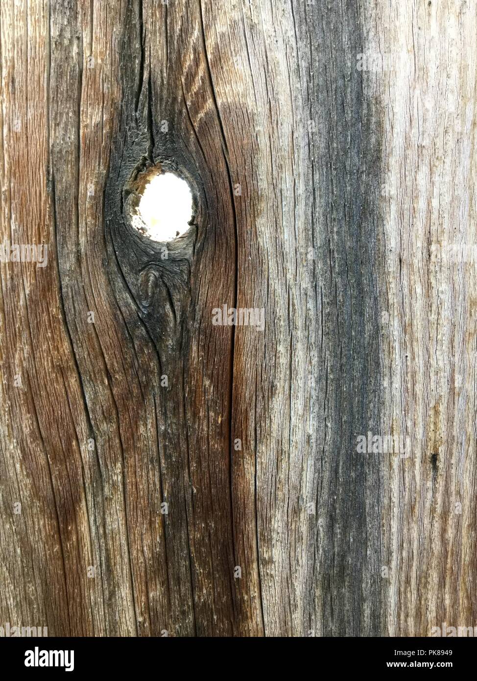 Old weathered wood fence board with knot hole Stock Photo Alamy