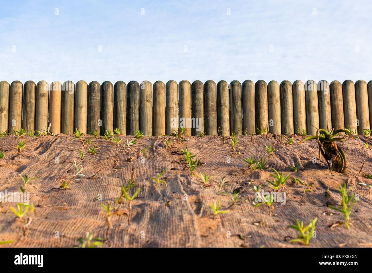 Fence poles on boundary for restoration sand bank with gardenling landscaping aloes Stock Photo