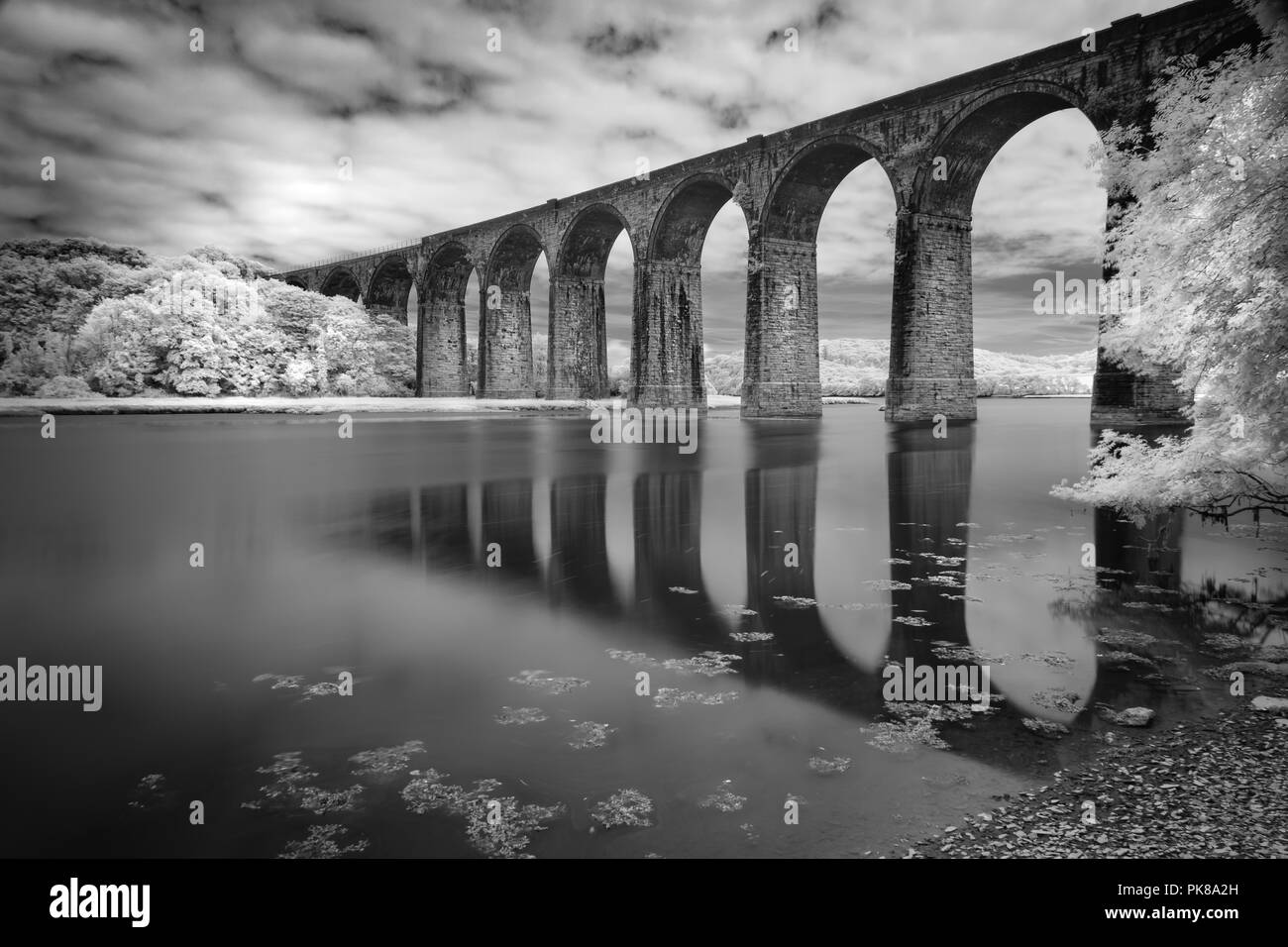Viaduct Reflections, St Germans, Cornwall, UK Stock Photo