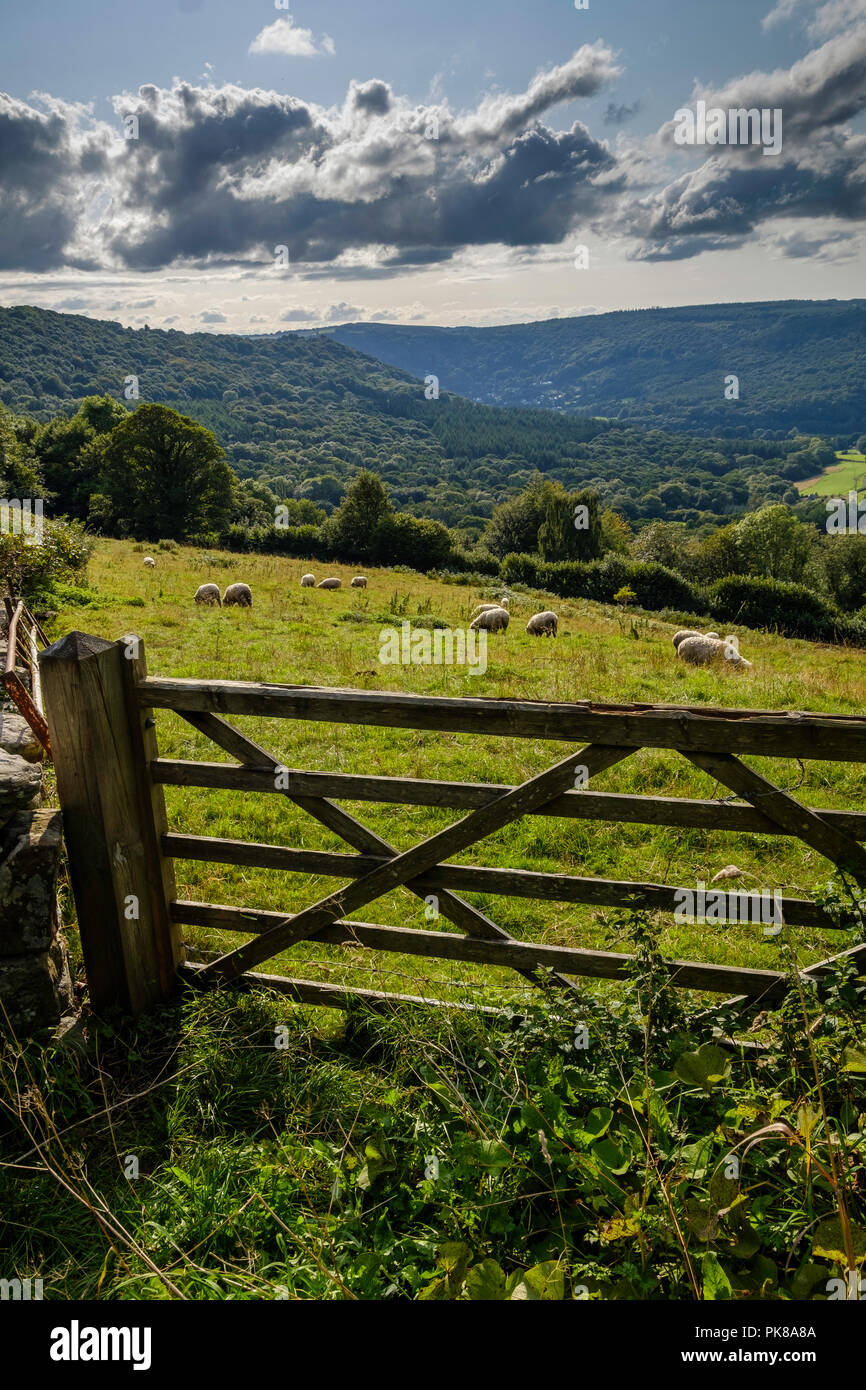 WYE VALLEY FROM ST BIVALES Stock Photo