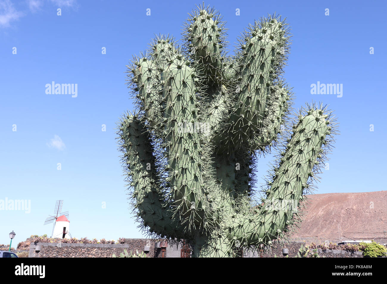 un hombre sin paisaje esta totalmente desarmado, Stock Photo