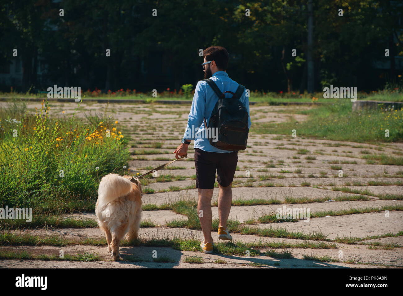 backpack for dog walking
