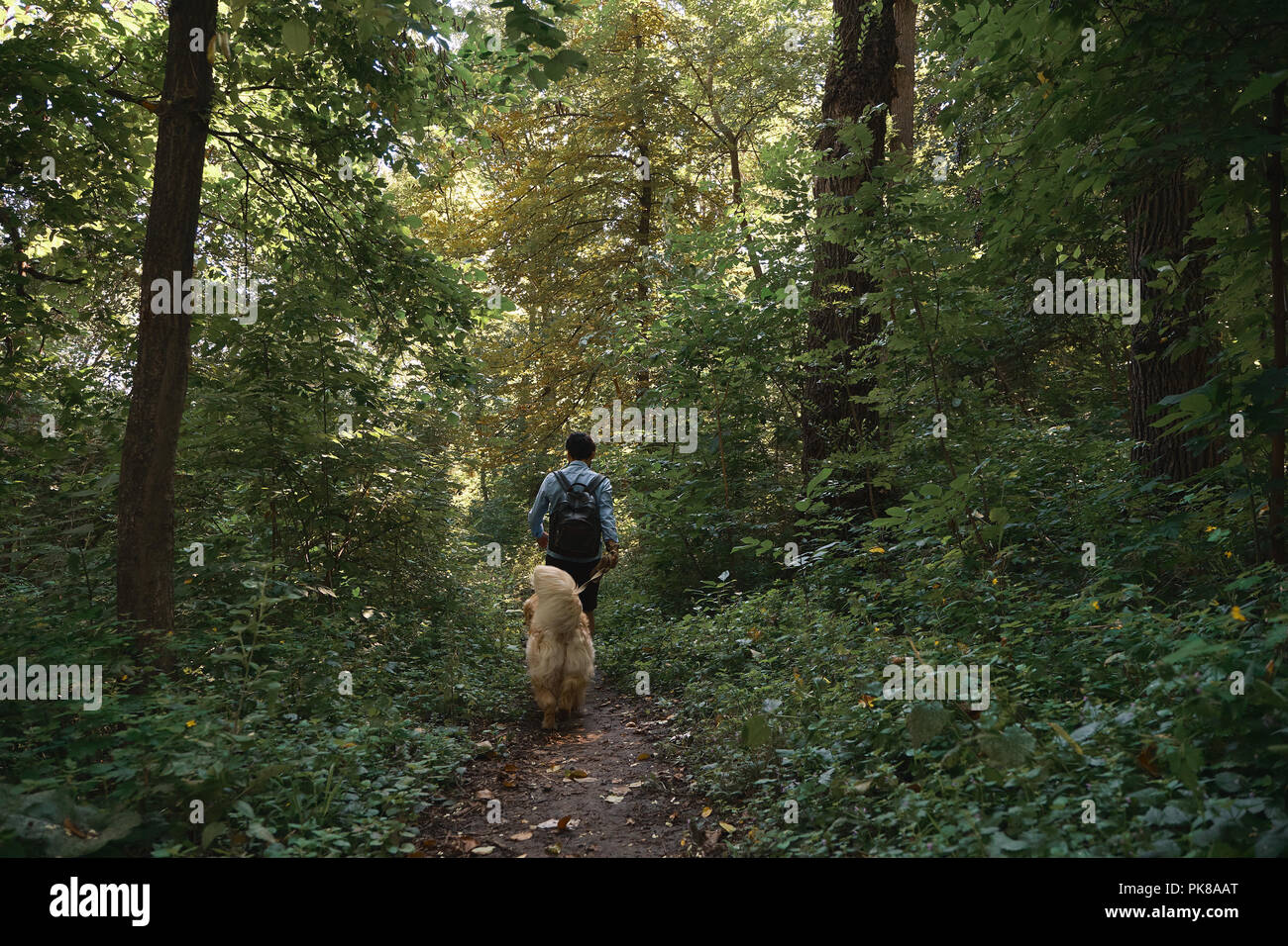 Handsome man walking his dog in the woods following a path. Happy ...