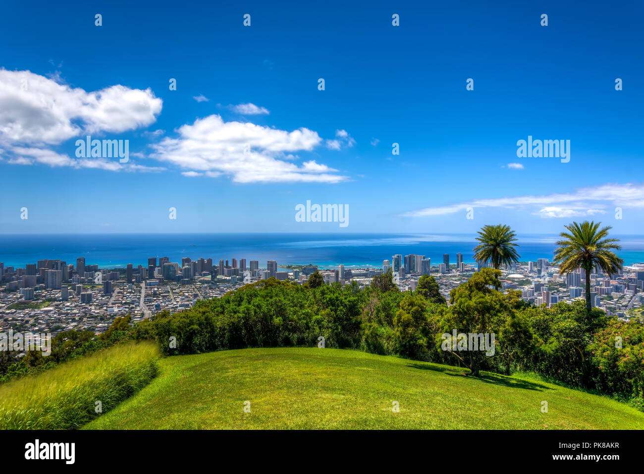 Aerial view wild palm trees hi-res stock photography and images - Alamy