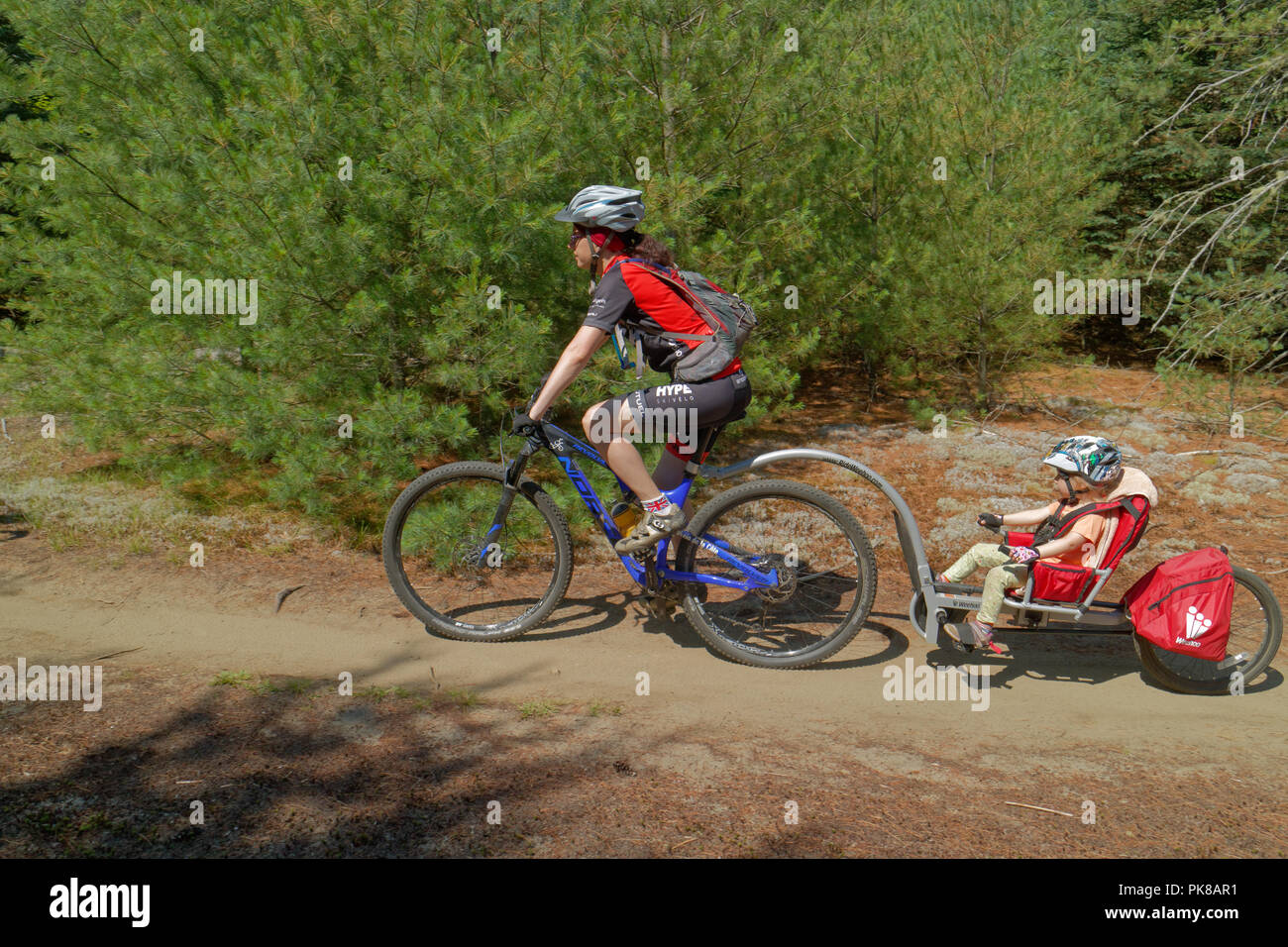A lady mountain biker towing her daughter in a Weehoo child bike trailer in the Kingdom Trails at East Burke in Vermont, USA Stock Photo