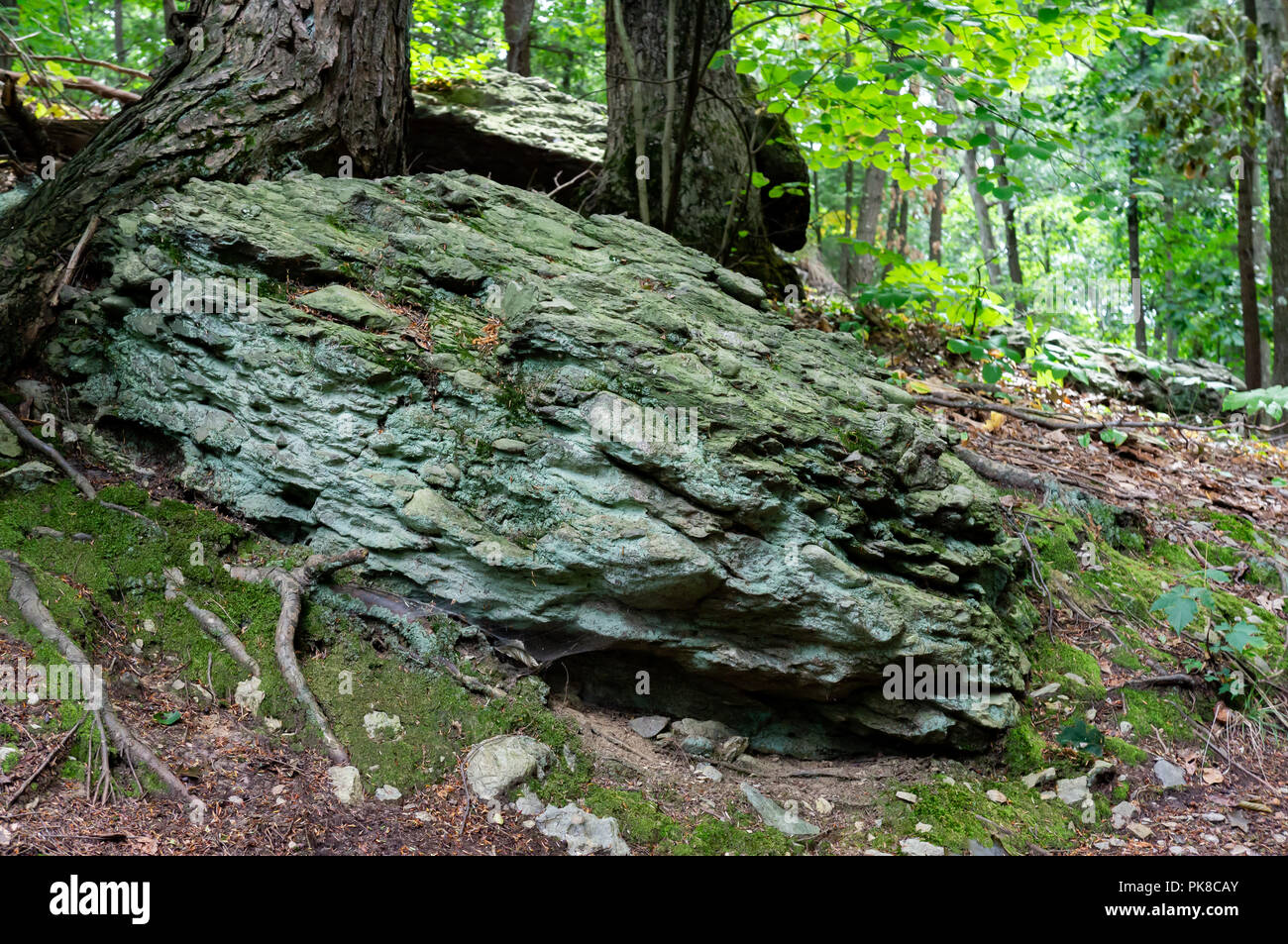 Big Mossy boulder or rock heavy looking in in the ground covered in beautiful life Stock Photo