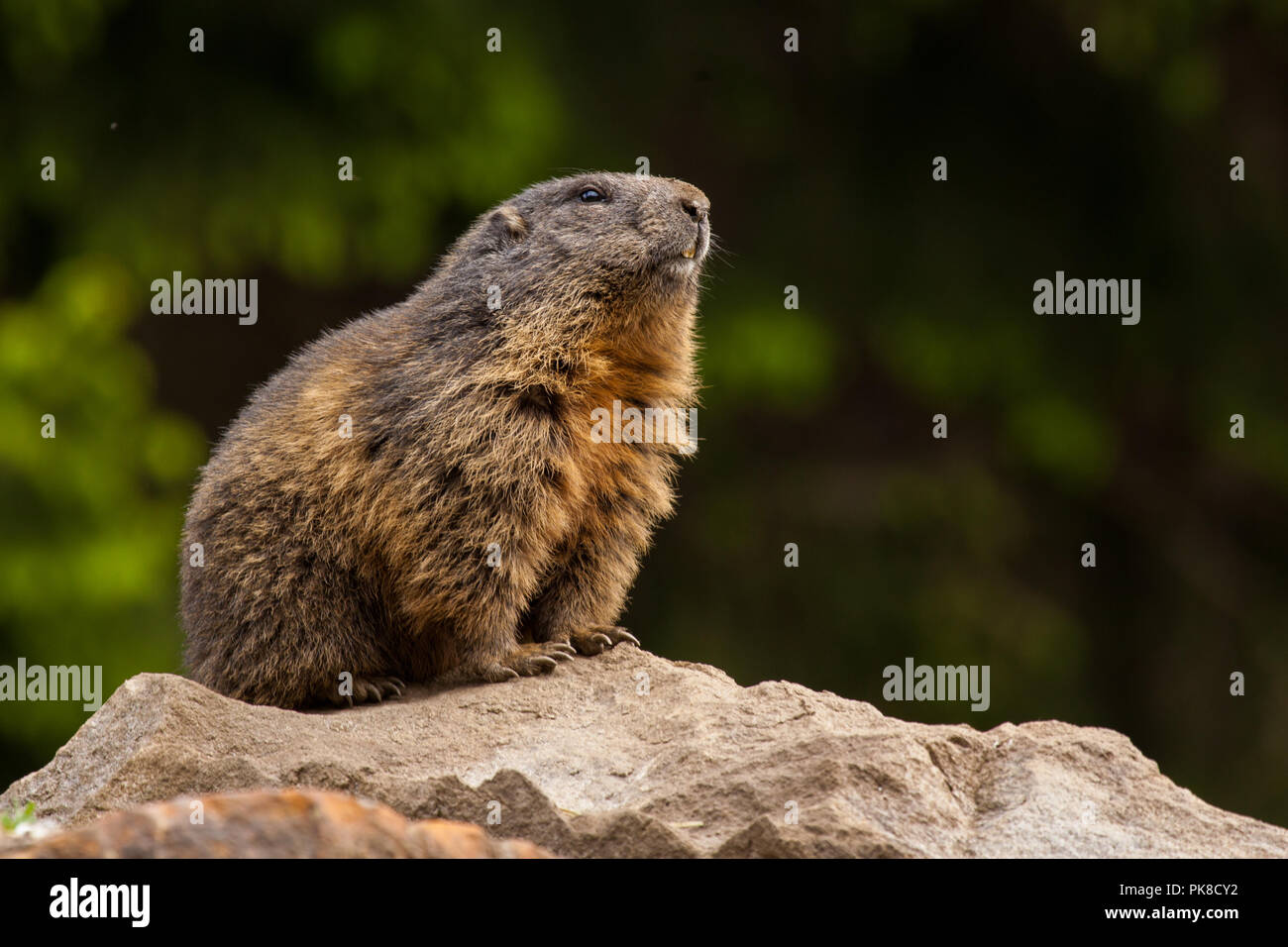 Glocknerstrasse High Resolution Stock Photography And Images Alamy