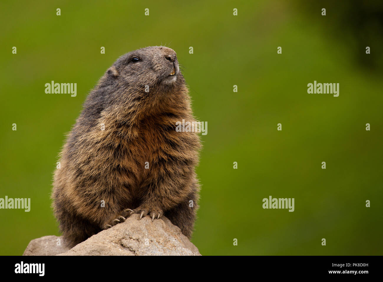 Glocknerstrasse High Resolution Stock Photography And Images Alamy