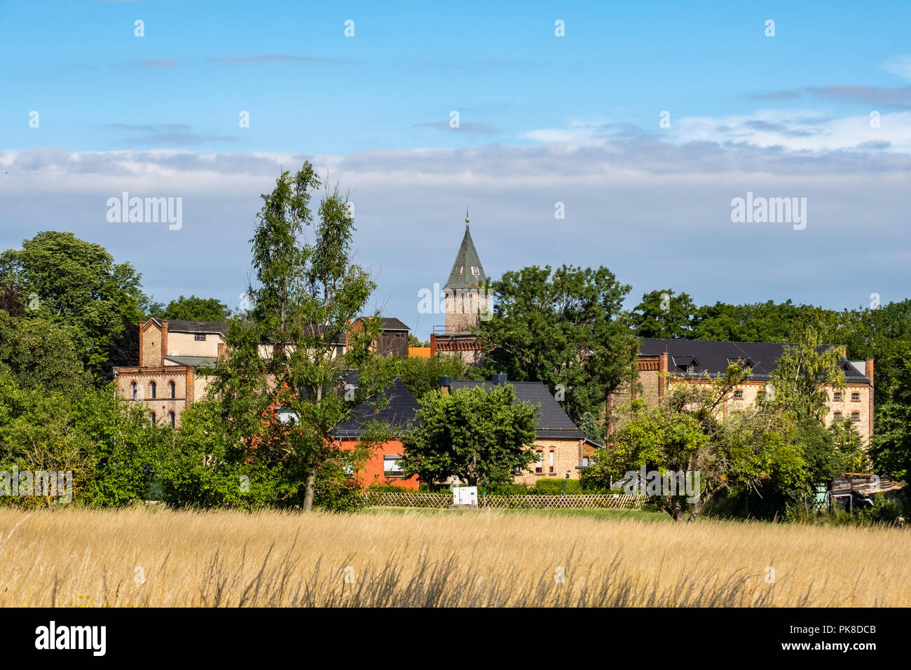 Wassermühle in Meisdorf Stadt Falkenstein im Harz Stock Photo Alamy