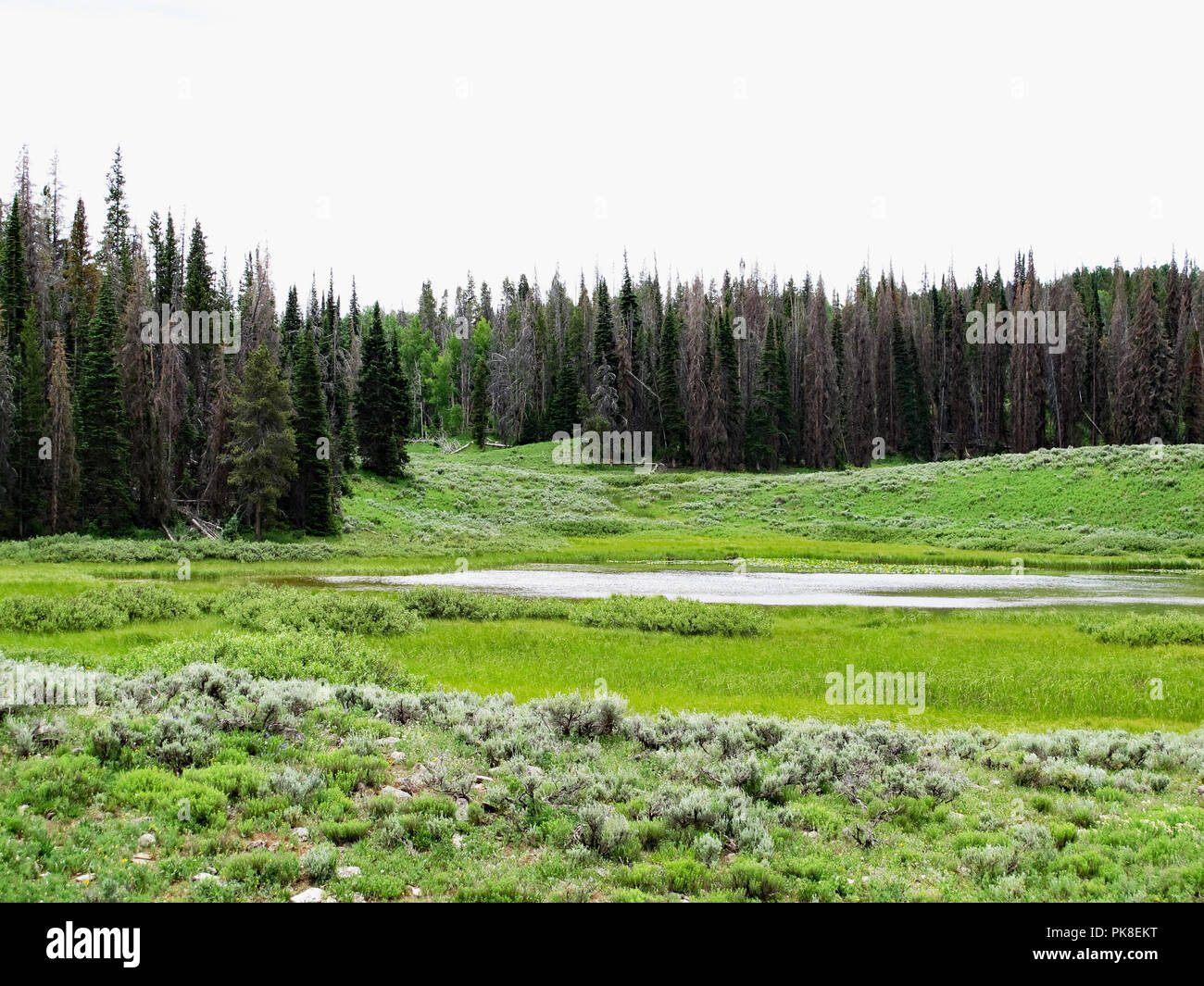 Ravaged environment hi-res stock photography and images - Alamy
