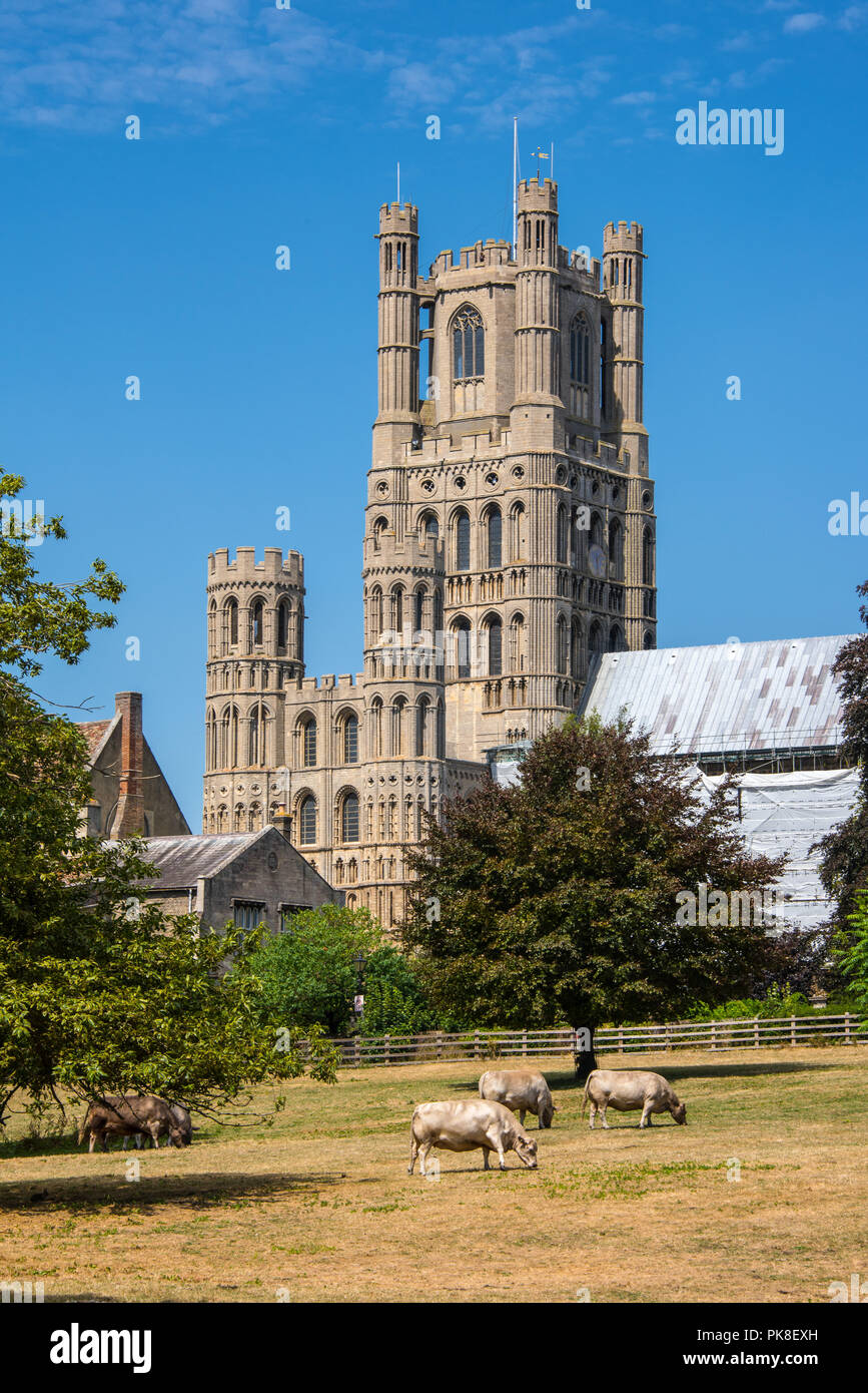 Ely Cathedral Stock Photo