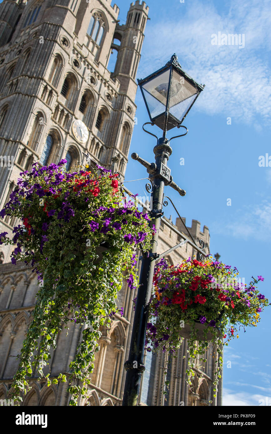 Upright Flowers High Resolution Stock Photography and Images - Alamy