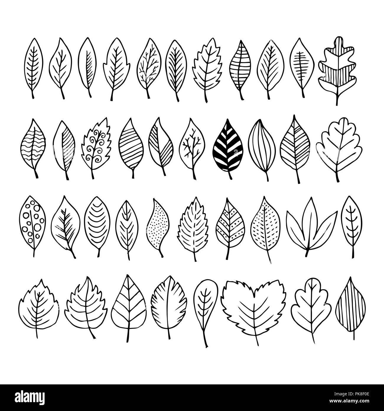 Elegant and beautiful autumn leaves and elements. Bright images for Thanksgiving Day Stock Vector