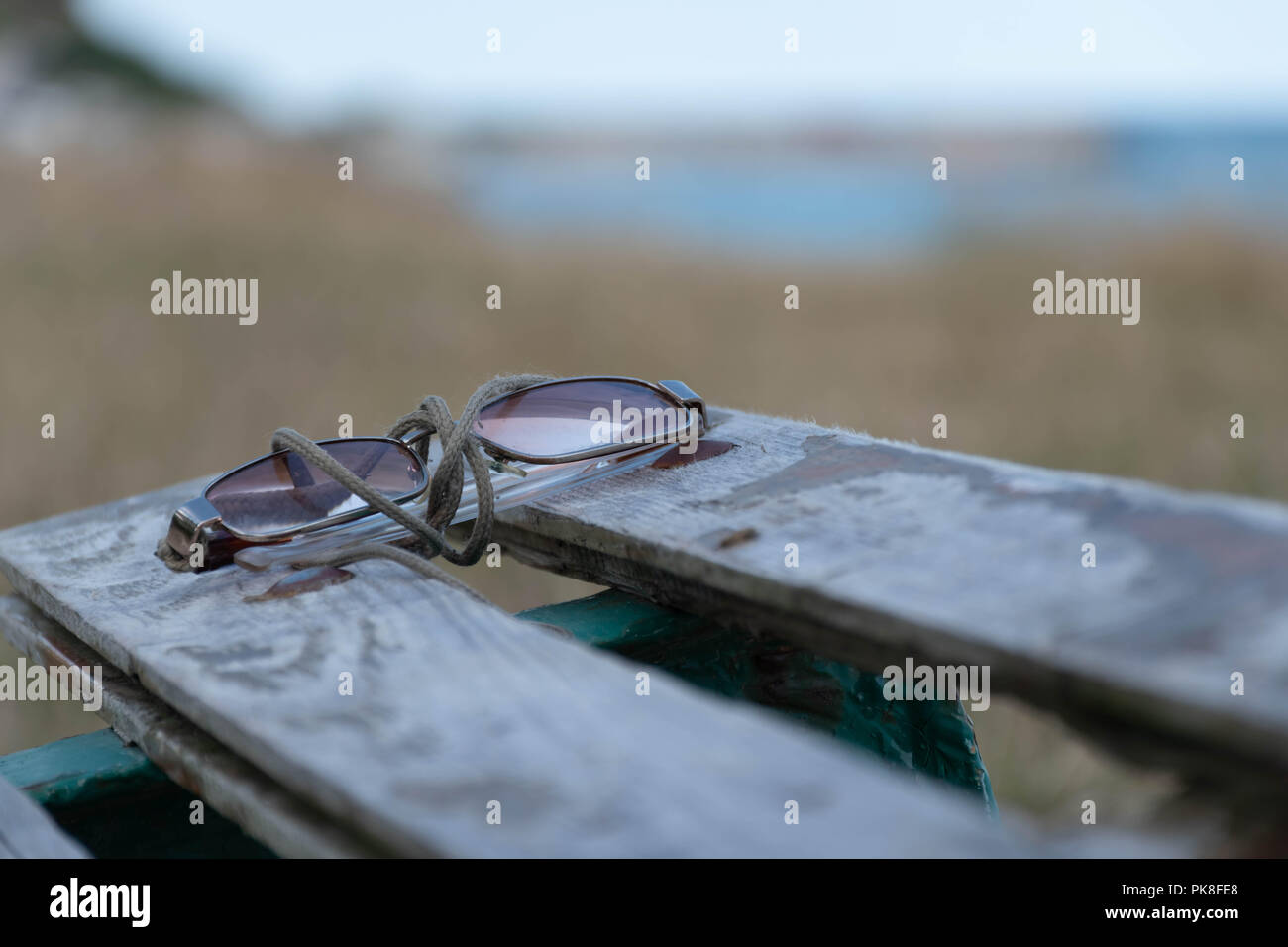 Bench eyewear best sale