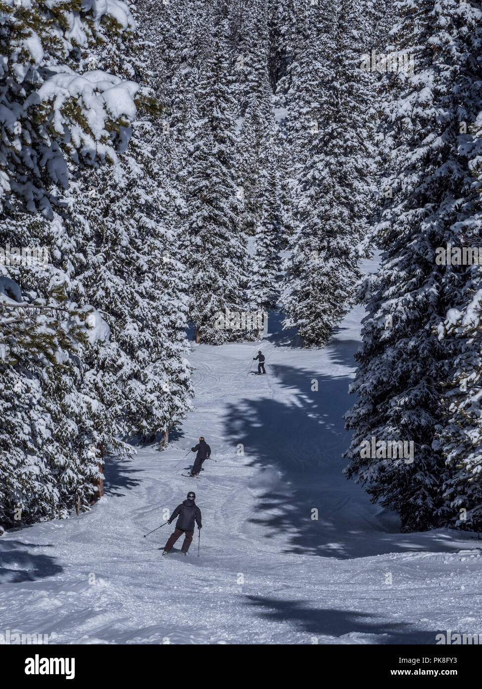 Big Rock Park Trail, winter, Blue Sky Basin, Vail Ski Resort, Vail ...