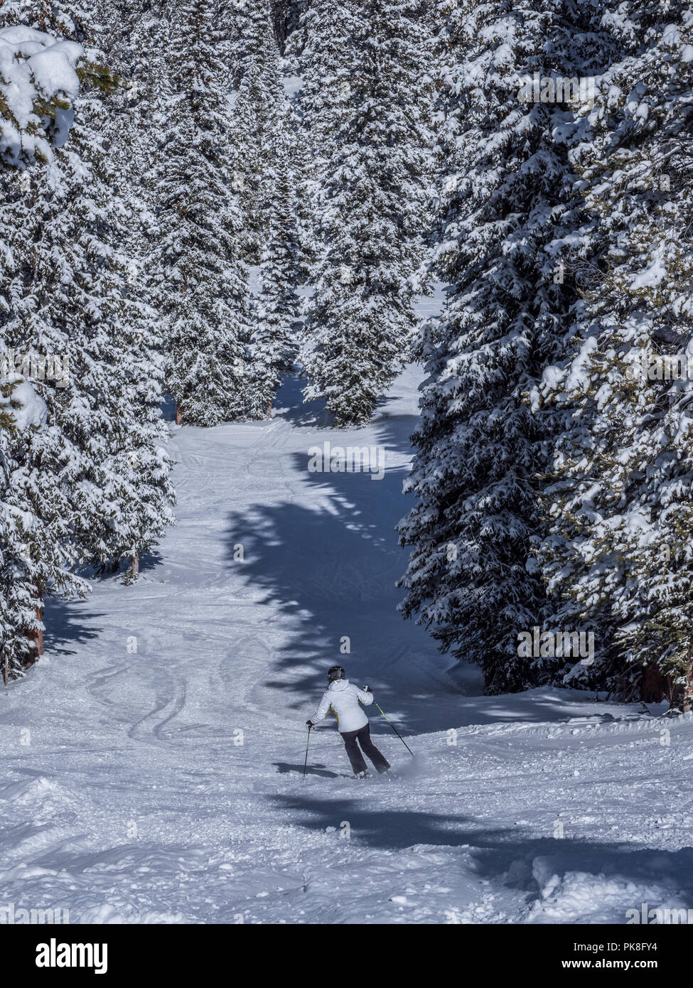 Big Rock Park Trail, winter, Blue Sky Basin, Vail Ski Resort, Vail ...