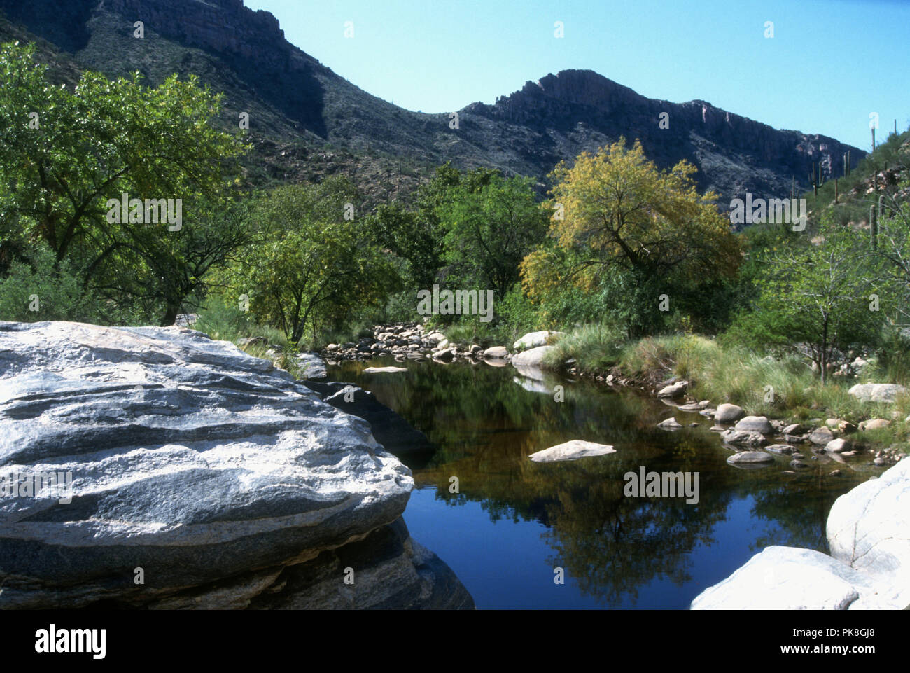 TUCSON, ARIZONA SEPTEMBER 24 (EXCLUSIVE) A general view of