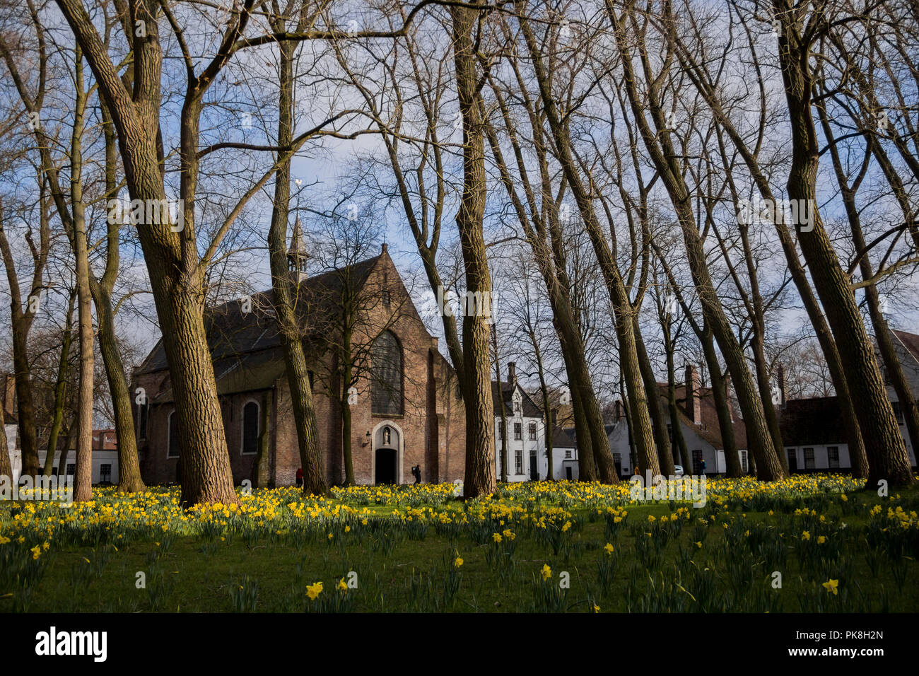 Church, Trees and Flowers at Bruges, Belgium Stock Photo