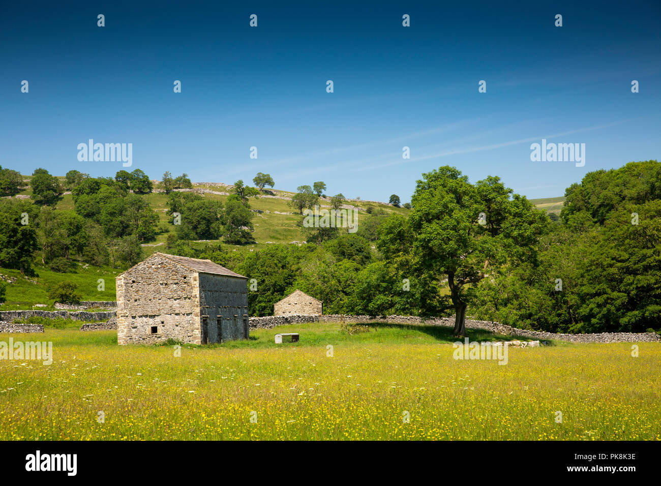 UK, Yorkshire, Wharfedale, Hubberholme, agriculture, traditional stone field barn in hay meadow Stock Photo