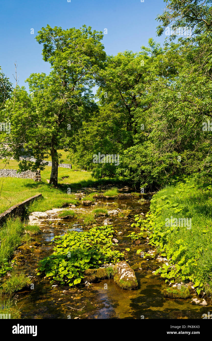 UK, Yorkshire, Wharfedale, Hubberholme, Gray Gill, clear flowing stream in summer at Stubbing Bridge Stock Photo