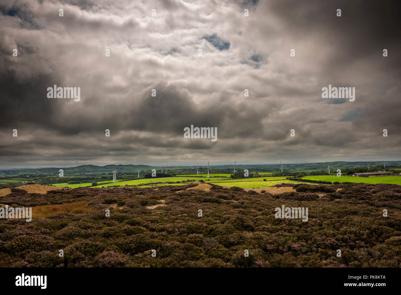Wind turbine farm near Parys Mountain, Anglesey, Wales, UK Stock Photo
