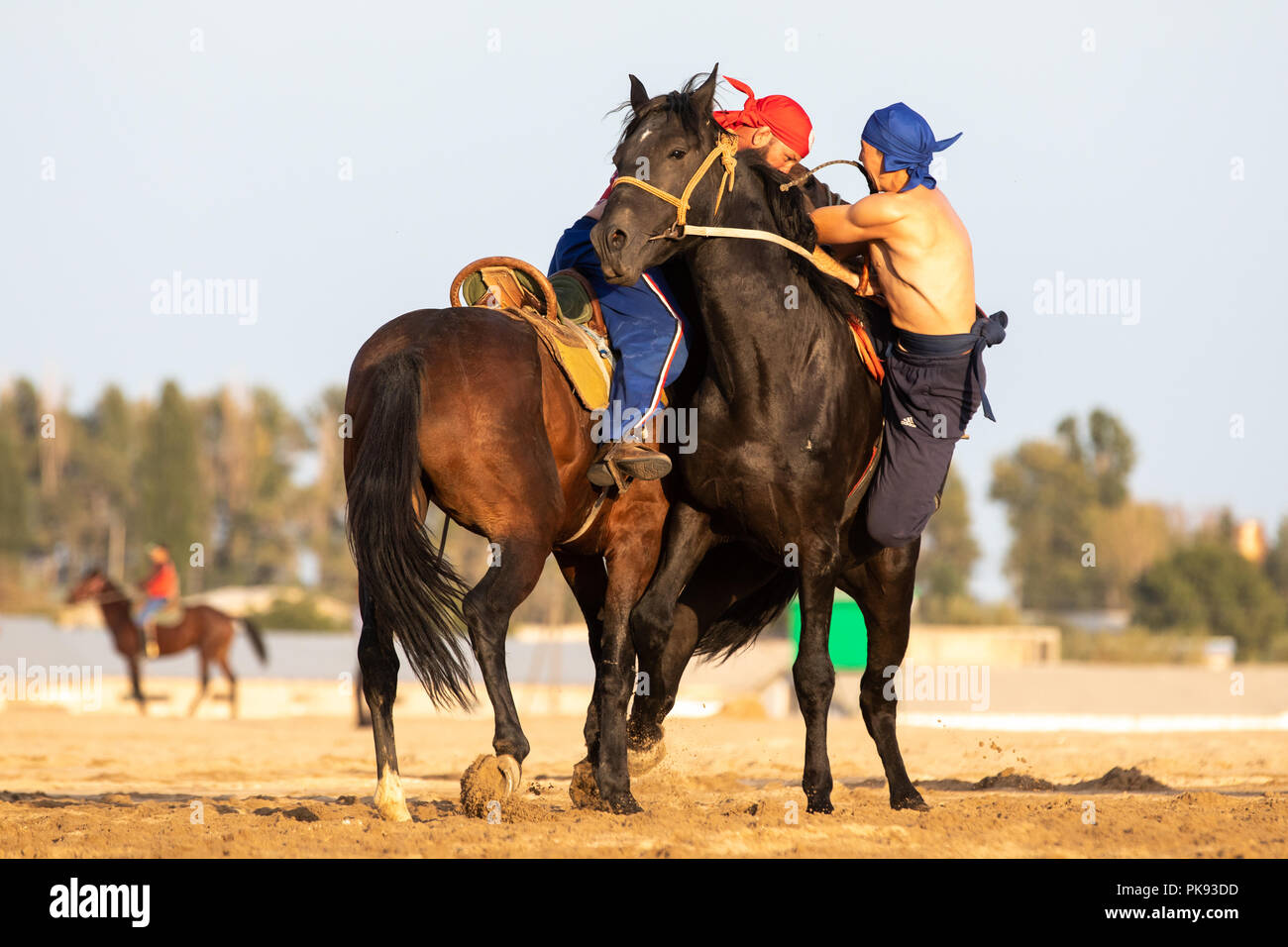 Cholpon-Ata city, Kyrgyzstan - Sep 5, 2018: Two men competing in er-enish (traditional Kyrgyz horsemen wrestling) match during 2018 World Nomad Games. Stock Photo