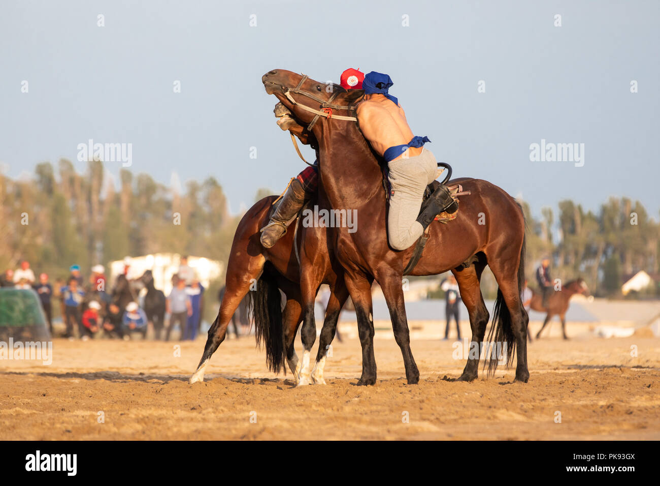 Cholpon-Ata city, Kyrgyzstan - Sep 5, 2018: Two men competing in er-enish (traditional Kyrgyz horsemen wrestling) match during 2018 World Nomad Games. Stock Photo