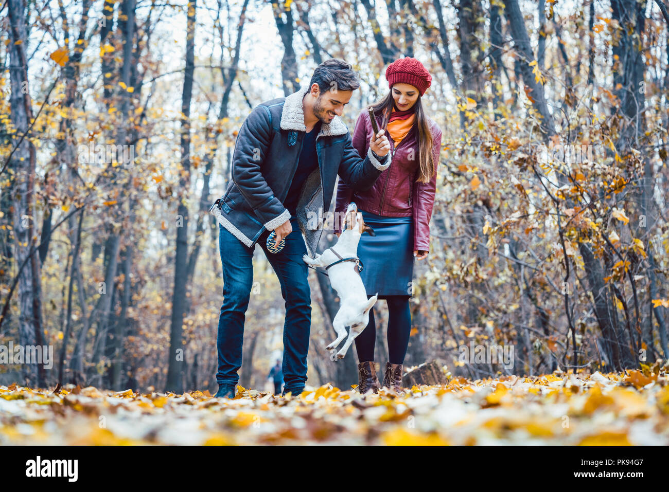 Couple in fall having walk with dog in a park Stock Photo - Alamy