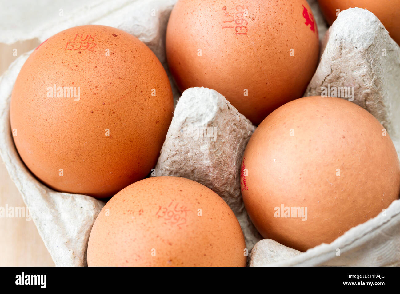 Extra large egg Stock Photo - Alamy