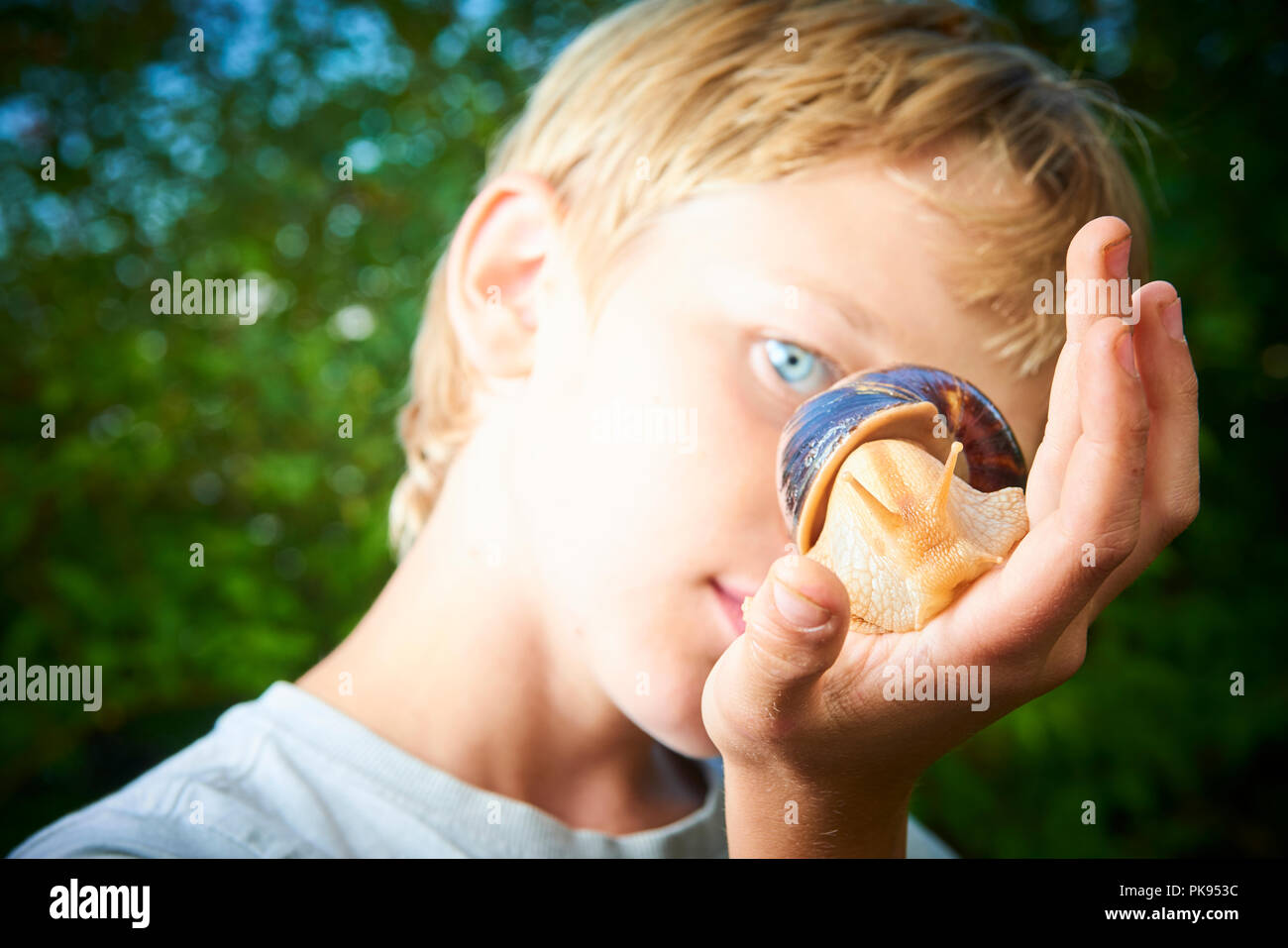 Child boy looking at giant snail on palm.  Unusual home pet example. Selective focus Stock Photo