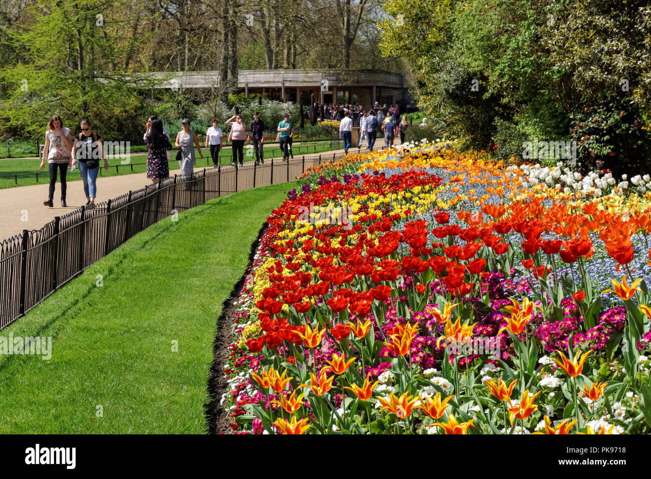 Spring flowers blooming in St James's Park, London England United
