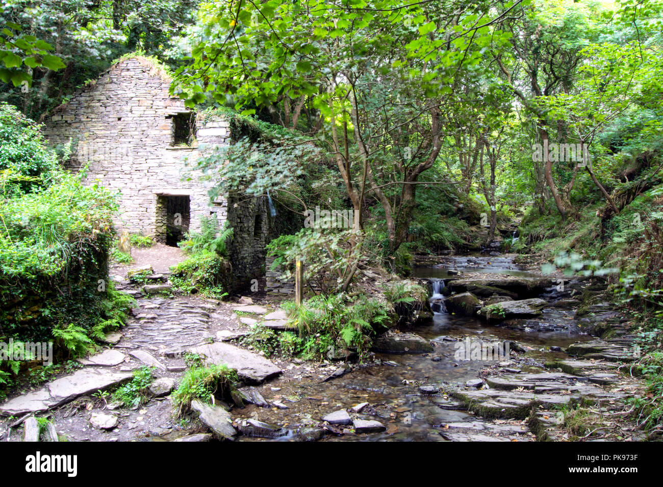 Ruined Mill Buildings and Stream, Rocky Valley between Boscastle and Tintagel, Cornwall UK Stock Photo