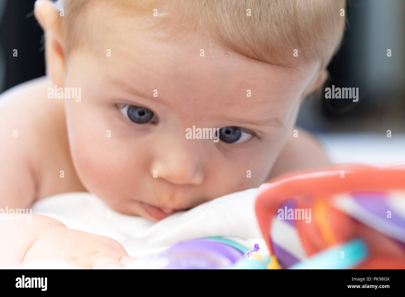 Cute little baby with big blue eyes lying on its stomach on a cot looking at its colorful plastic educational toys Stock Photo