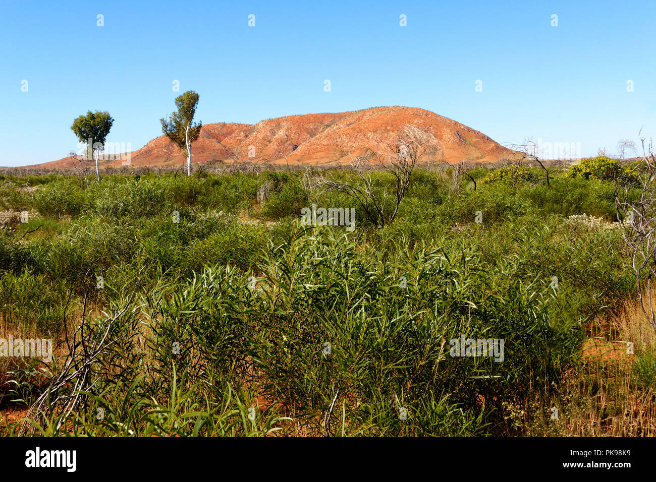 Mount Murray, Pilbara, Western Australia Stock Photo