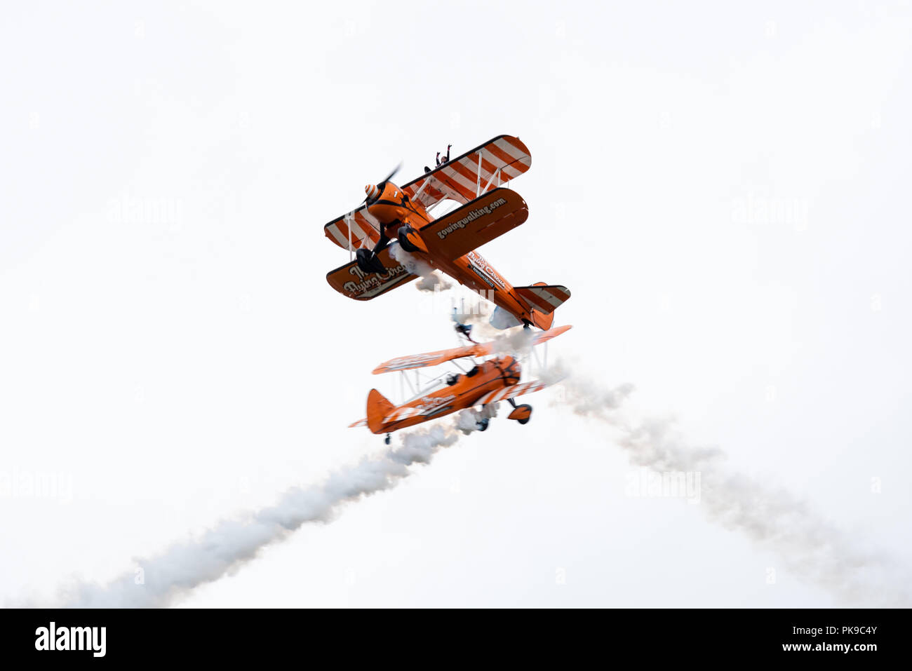 Boeing Stearman biplanes of the AeroSuperBatics Flying Circus come perilously close during their aerobatic display. Stock Photo