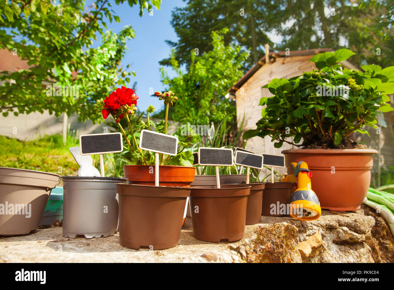 Flower pots with wooden labels in the garden Stock Photo