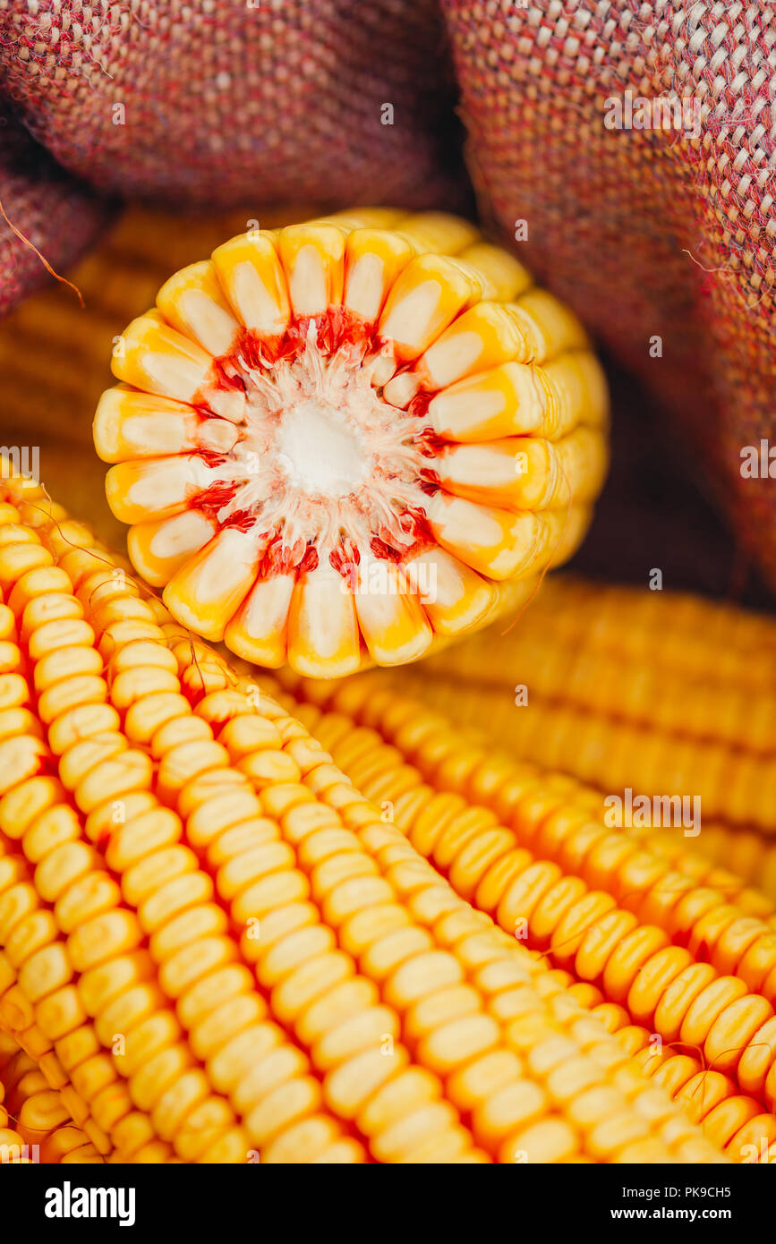 Corn Cross Section High Resolution Stock Photography and Images - Alamy